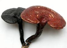 仙草百痛康www.ooiou.com