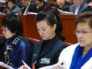 宋祖英参加会议