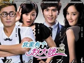 《我家有个赵大咪》海报