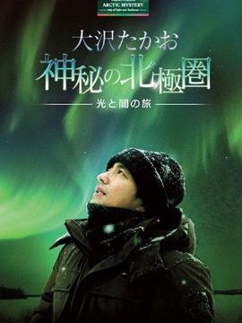 大泽隆夫主要电视作品
