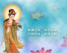 六根 - 搜狗百科