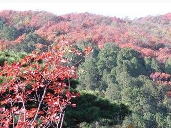香山公园风景图
