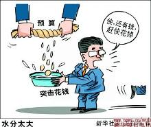 绩效预算管理-华恒智信