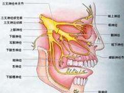 听神经鞘瘤