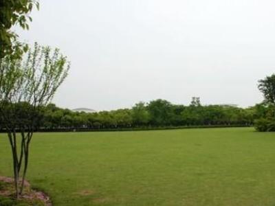 上海大学校园环境