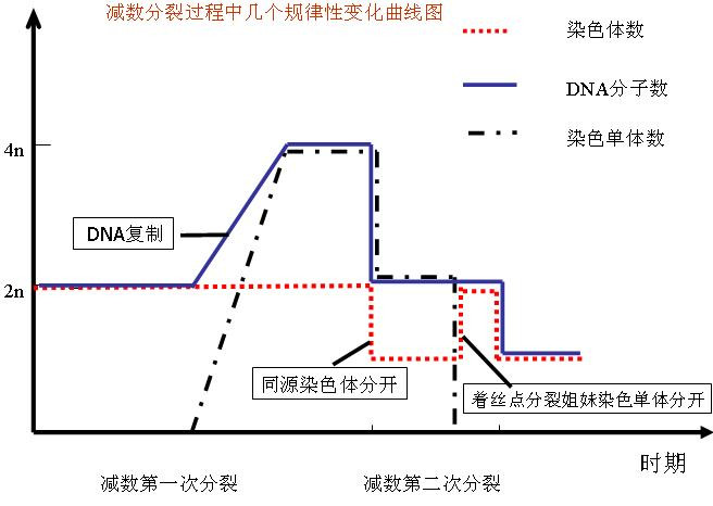搜狗百科