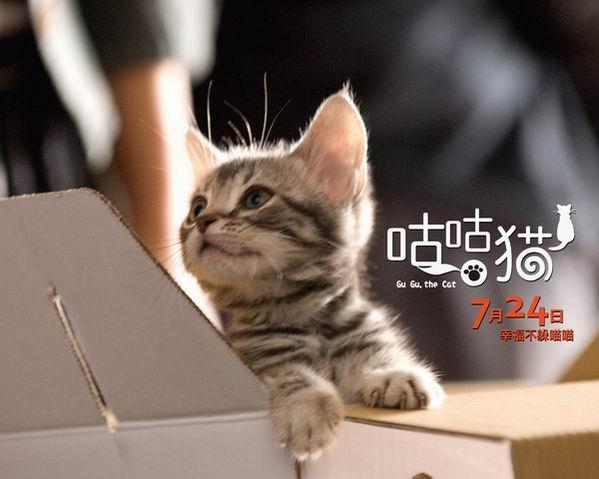 咕咕是一只猫 搜狗百科 咕咕是一只猫 搜狗百科