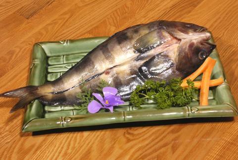 多线鱼 搜狗百科