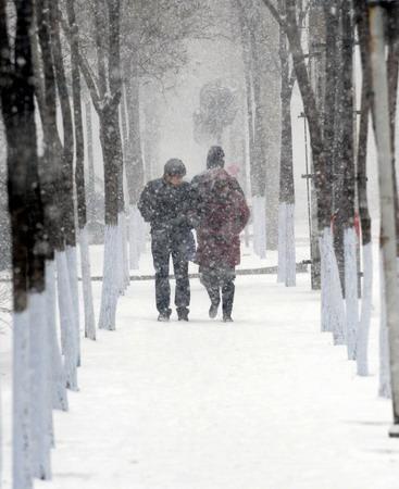 高吹雪 搜狗百科