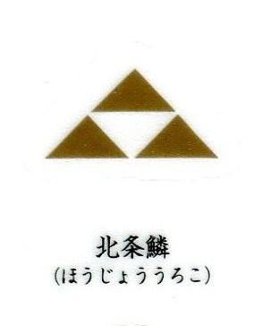 北条氏康(日本战国时代的武将、大名)u2014搜狗百科