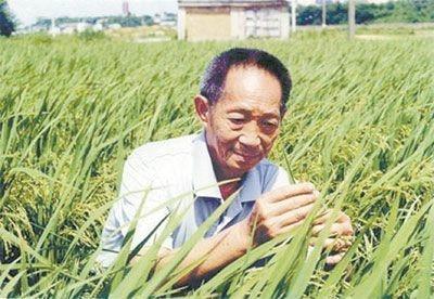 无党派人士 搜狗百科