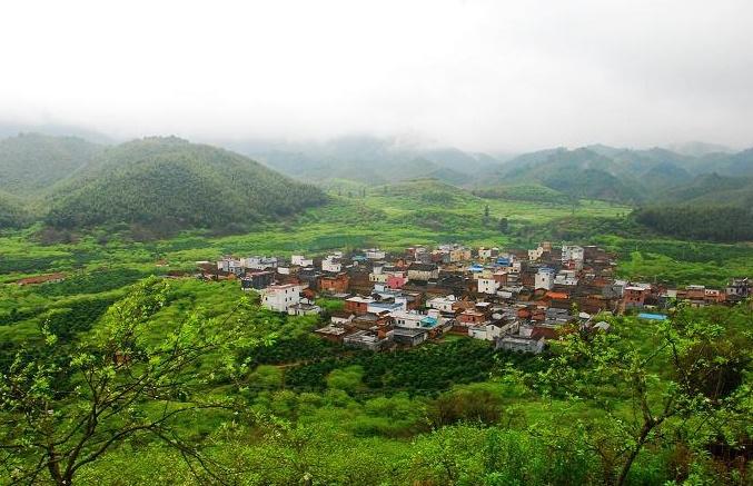 溪头旅游村 搜狗百科