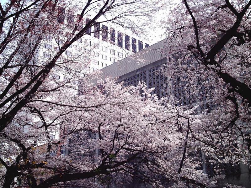 上智大学 搜狗百科 上智大学 搜狗百科