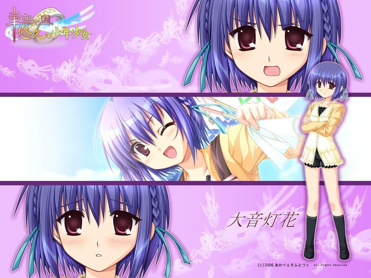 大音灯花 搜狗百科