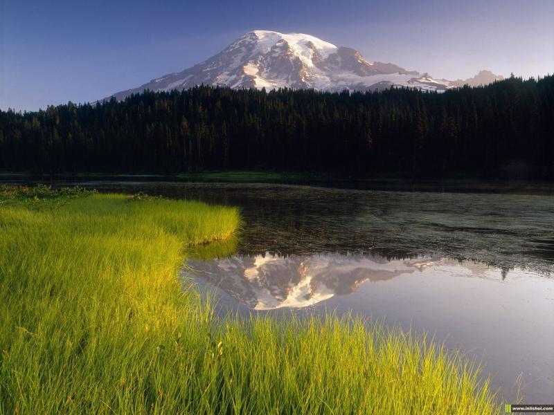 对比度 搜狗百科