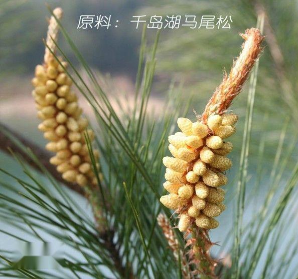 松达松花粉 搜狗百科 松达松花粉 搜狗百科