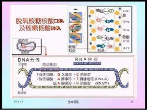 核糖核酸 搜狗百科