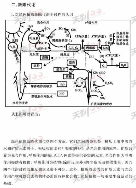 新陈代谢 搜狗百科