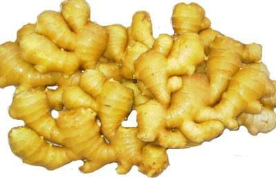 沂水生姜 姜目姜属植物 搜狗百科