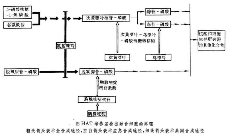搜狗百科