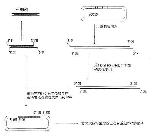 搜狗百科