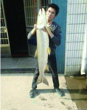 鳡鱼(硬骨鱼纲动物)