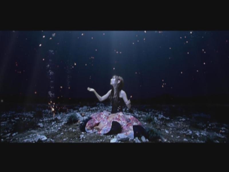 金鱼花火 搜狗百科