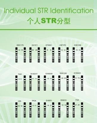 搜狗百科