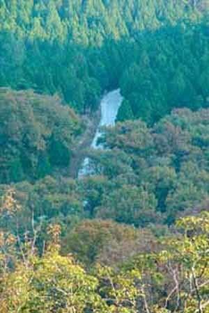 华山国家森林公园 搜狗百科 华山国家森林公园 搜狗百科