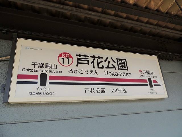 柴崎芦花 搜狗百科 柴崎芦花 搜狗百科