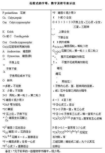 花程式 搜狗百科