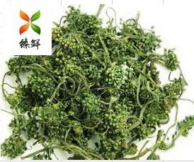 人参花茶 搜狗百科 人参花茶 搜狗百科