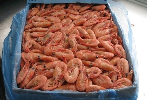 北极虾 纯野生冷水虾 搜狗百科