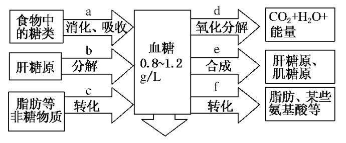 血糖平衡 搜狗百科