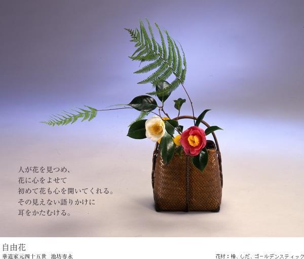 池坊 池坊 搜狗百科 池坊 池坊 搜狗百科
