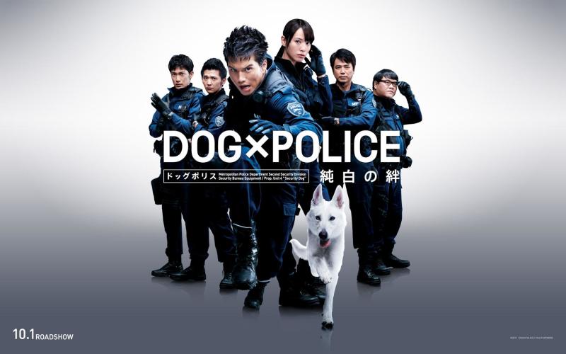 狗与警察 搜狗百科
