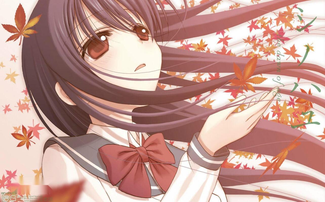 白筑慕 搜狗百科