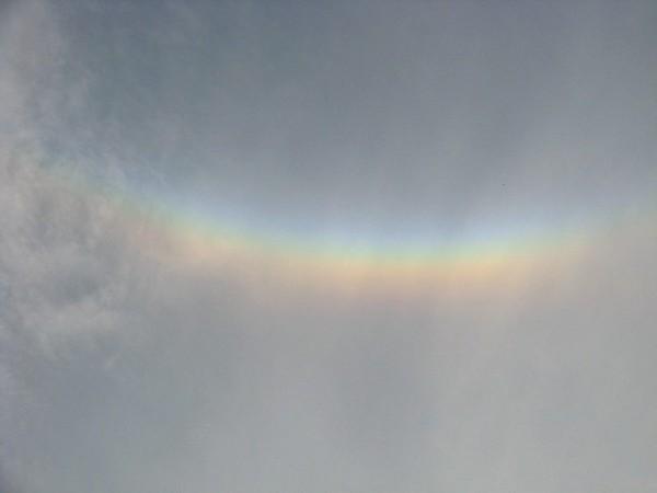 椋平虹 搜狗百科