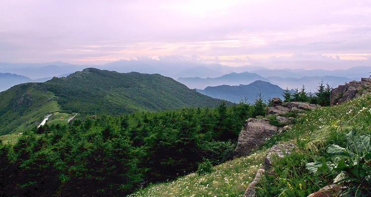 霞云岭 霞云岭国家森林公园 搜狗百科