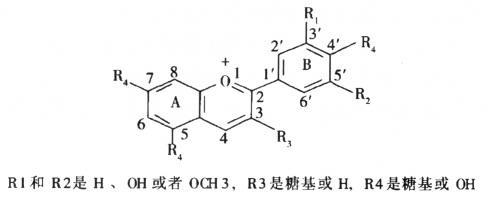 花青素 搜狗百科