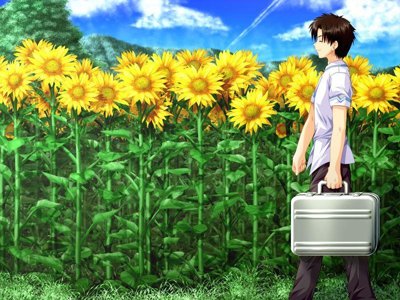 森田贤一 搜狗百科