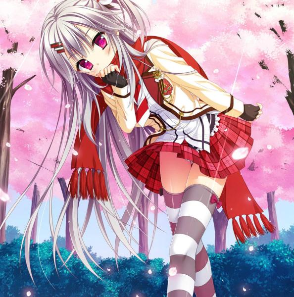 花咲workspring 搜狗百科 花咲workspring 搜狗百科