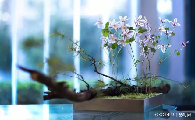 花艺 花卉艺术的简称 搜狗百科 花艺 花卉艺术的简称 搜狗百科