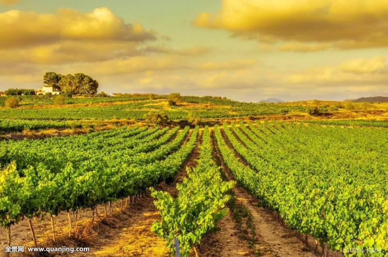 地中海式农业 搜狗百科
