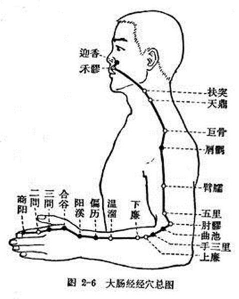 图册：肘髎穴