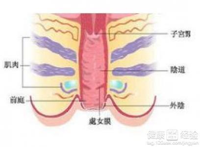 会阴损伤 搜狗百科