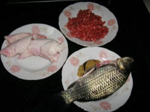 保元汤