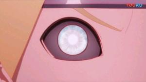 净眼