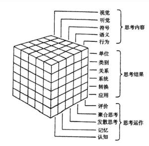 智力三维结构模型