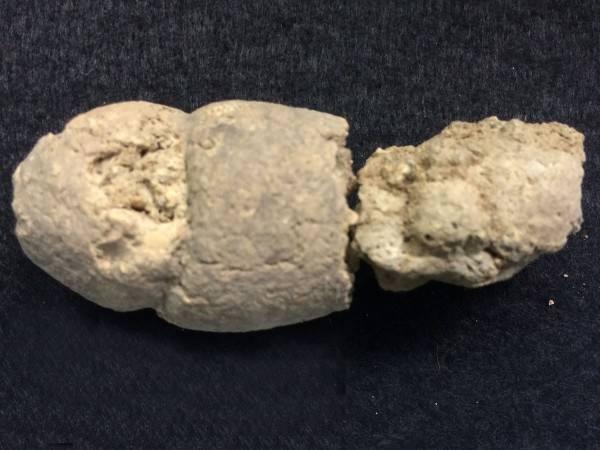 粪便 搜狗百科 粪便 搜狗百科